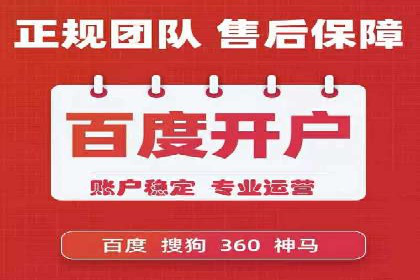 百度竞价策略解析：案例分析及优化建议